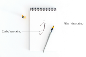 lettre-forme-styloplume-flatlay-calligraphie-handleterring-tutoriel-oberthur-blog-rennes-lifestyle
